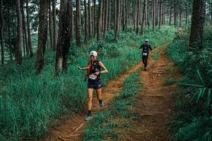 BIB: 
                            <button type="button" onclick="openModal(25655305)" class="btn btn-primary btn-sm float-right btn-popup" data-toggle="modal" data-target=".modal-high-quality">
                        <i class="fas fa-shopping-cart"></i> Add to Cart
                    </button>
                                            <button type="button" onclick="isThisMe(25655305, true)" class="btn btn-success btn-sm float-right btn-popup btn-isme hidden" data-toggle="tooltip" data-placement="bottom" title="นี่คือรูปของคุณใช่ไหม คลิกที่นี่เพื่อเอาเข้าอัลบั้ม">
                        <i class="fas fa-plus"></i> Add to album
                    </button>
                    <button type="button" onclick="isThisMe(25655305, false)" class="btn btn-warning btn-sm float-right btn-popup btn-isnotme hidden">
                        <i class="fas fa-ban"></i> Remove from album
                    </button>